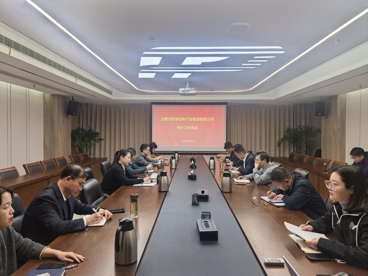 公司召开审计整改专题部署会 全面推进问题闭环管理