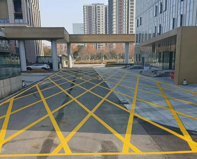 7946466.jpg